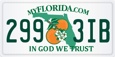 FL license plate 2993IB