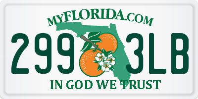 FL license plate 2993LB