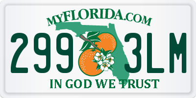FL license plate 2993LM