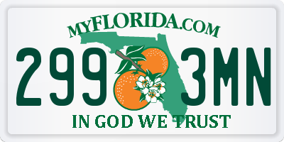 FL license plate 2993MN