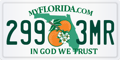 FL license plate 2993MR