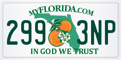 FL license plate 2993NP