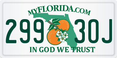FL license plate 2993OJ