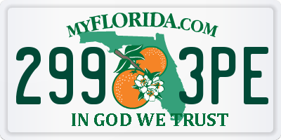 FL license plate 2993PE
