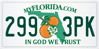 FL license plate 2993PK