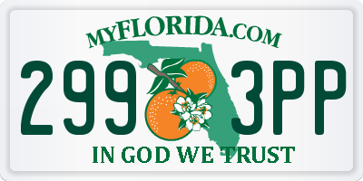 FL license plate 2993PP