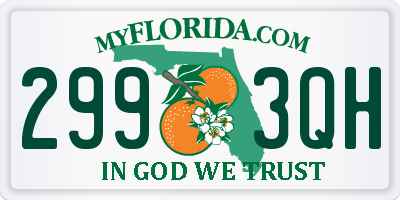 FL license plate 2993QH