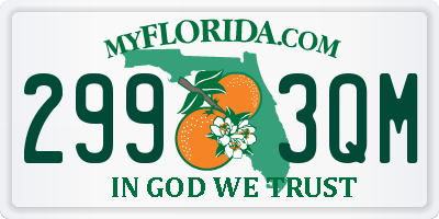 FL license plate 2993QM