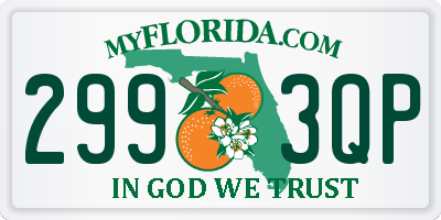 FL license plate 2993QP