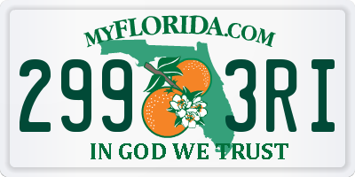 FL license plate 2993RI