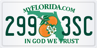 FL license plate 2993SC