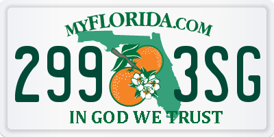 FL license plate 2993SG