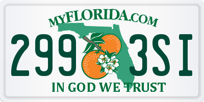 FL license plate 2993SI