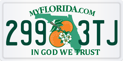 FL license plate 2993TJ