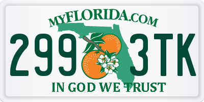 FL license plate 2993TK
