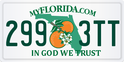 FL license plate 2993TT
