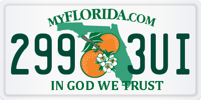FL license plate 2993UI
