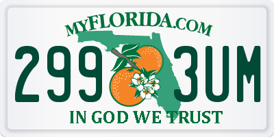FL license plate 2993UM