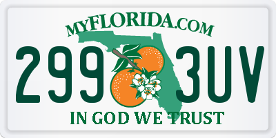 FL license plate 2993UV