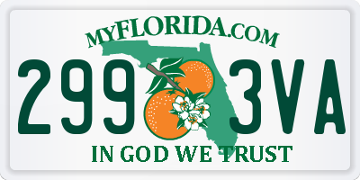 FL license plate 2993VA