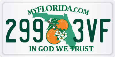 FL license plate 2993VF