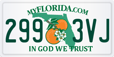 FL license plate 2993VJ