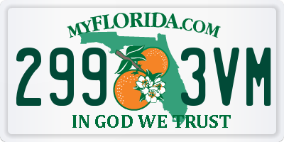 FL license plate 2993VM