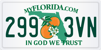 FL license plate 2993VN