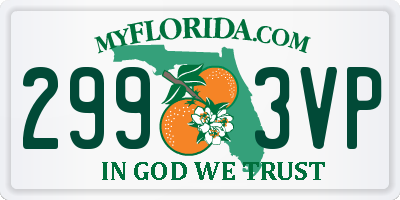 FL license plate 2993VP