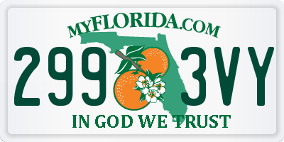 FL license plate 2993VY