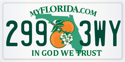 FL license plate 2993WY