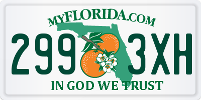 FL license plate 2993XH