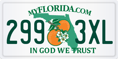FL license plate 2993XL