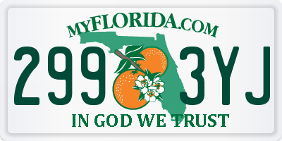 FL license plate 2993YJ