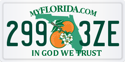 FL license plate 2993ZE