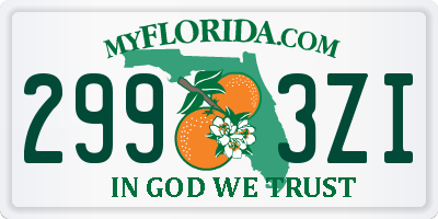 FL license plate 2993ZI