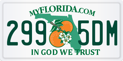 FL license plate 2995DM