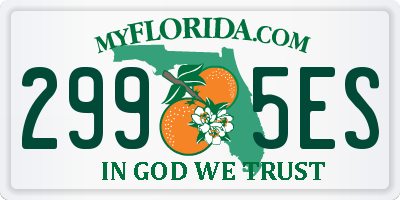 FL license plate 2995ES