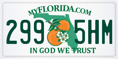FL license plate 2995HM