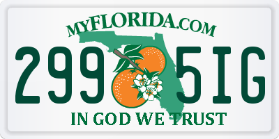 FL license plate 2995IG