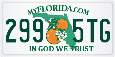 FL license plate 2995TG