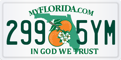 FL license plate 2995YM