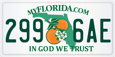FL license plate 2996AE