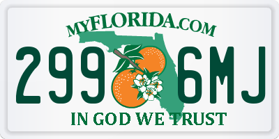 FL license plate 2996MJ