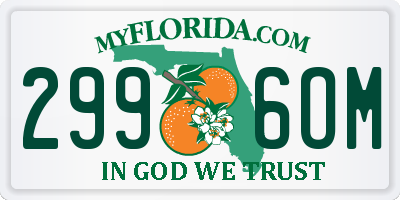 FL license plate 2996OM