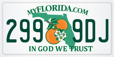FL license plate 2999DJ