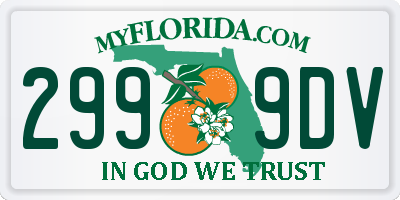 FL license plate 2999DV