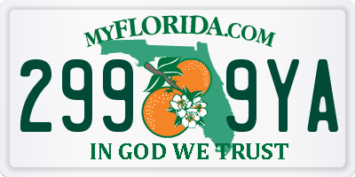 FL license plate 2999YA