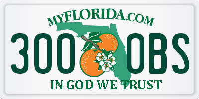 FL license plate 3000BS