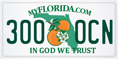 FL license plate 3000CN